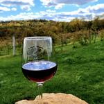Fergedaboudit Vineyard & Winery