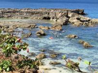 Sharks Cove