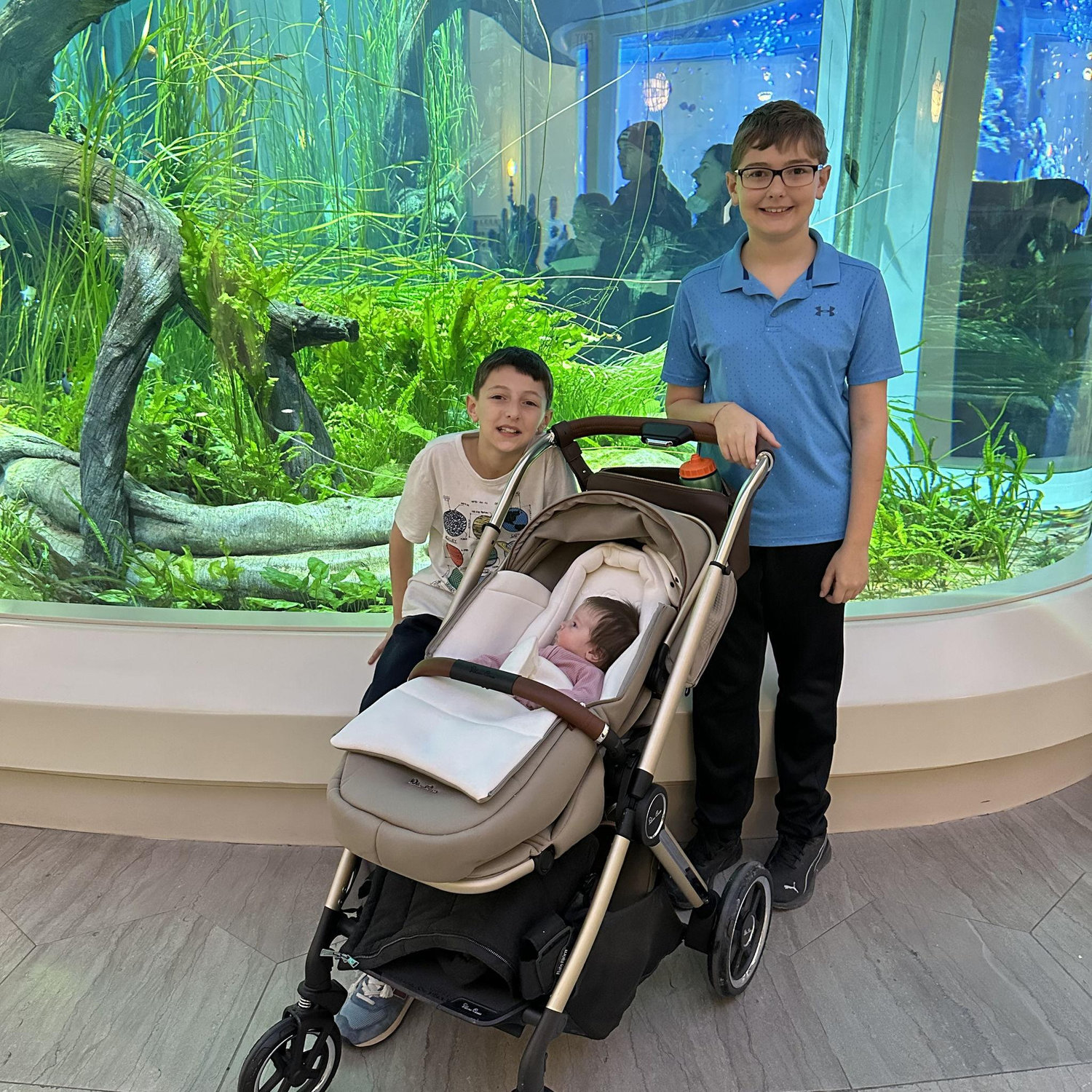 Shedd Aquarium