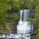 Bahar Preserve & Carpentry Falls