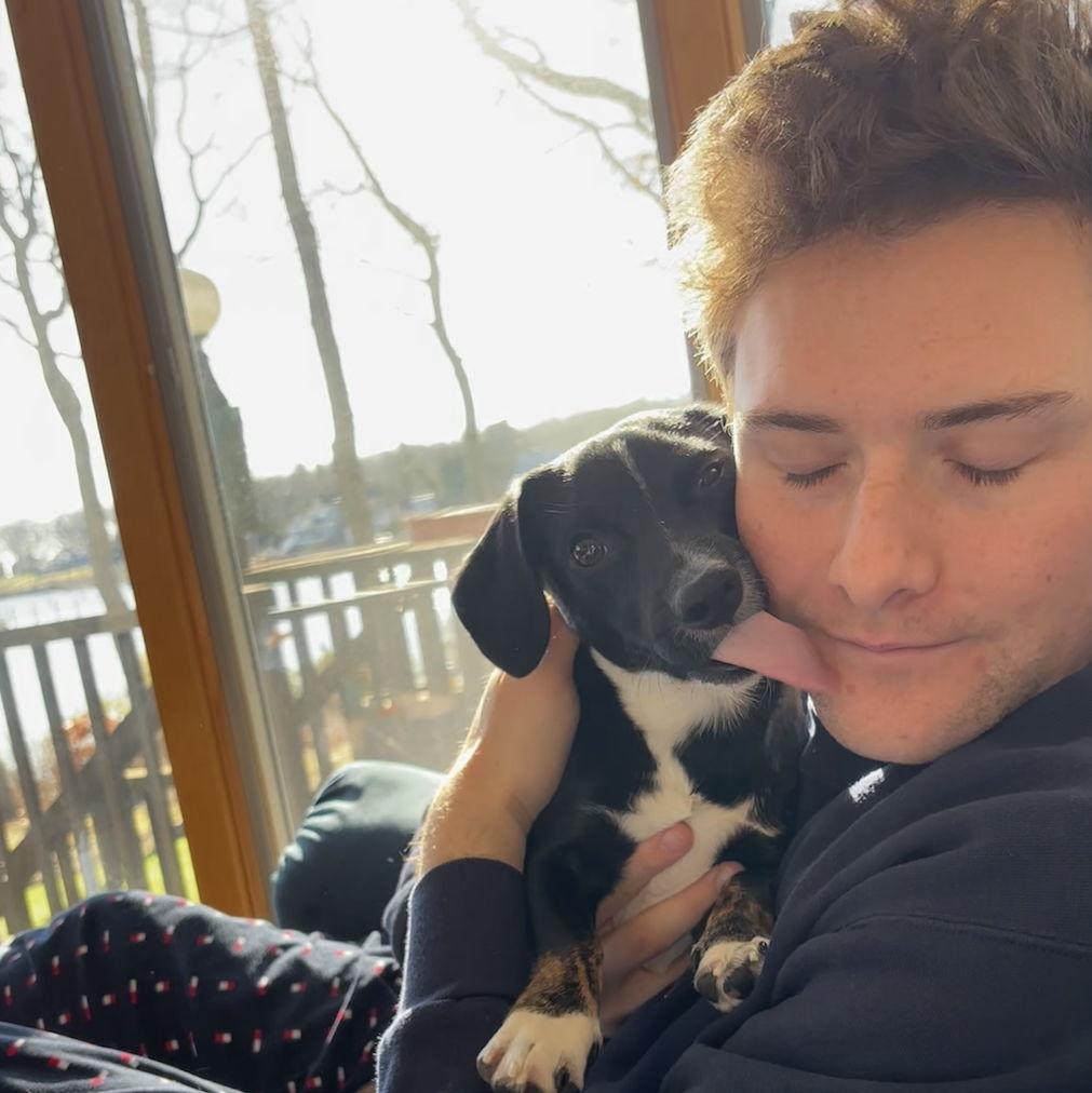 Dale took his first trip to NY in December of 2023! Ask him about all the special puppy dinner he got!