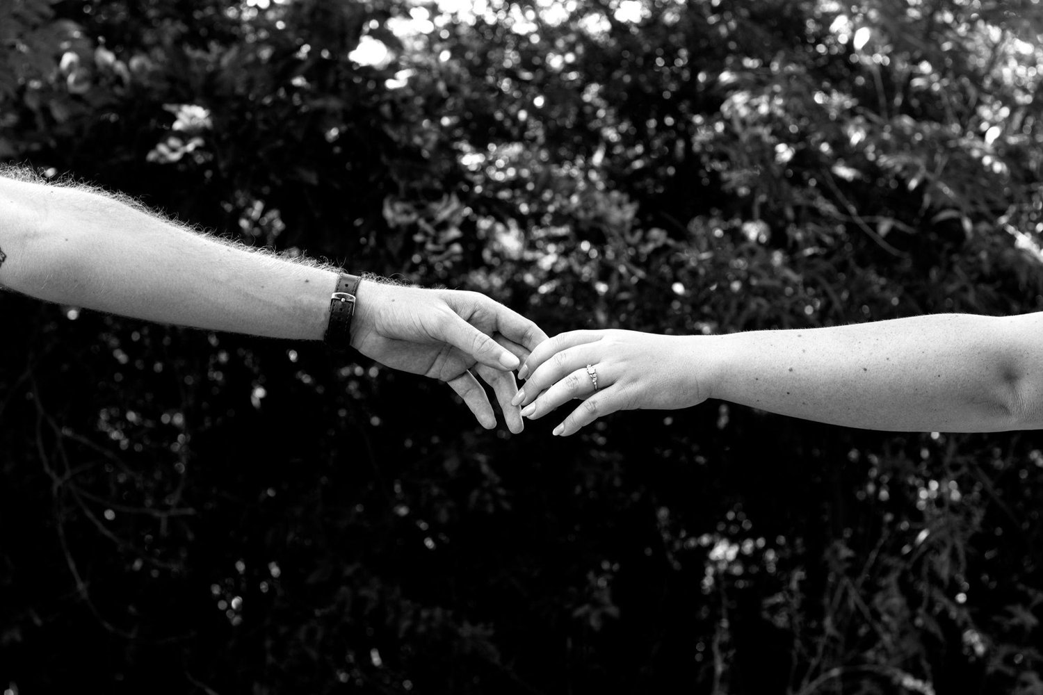 The Wedding Website of Danielle Roux and Johan Steenkamp