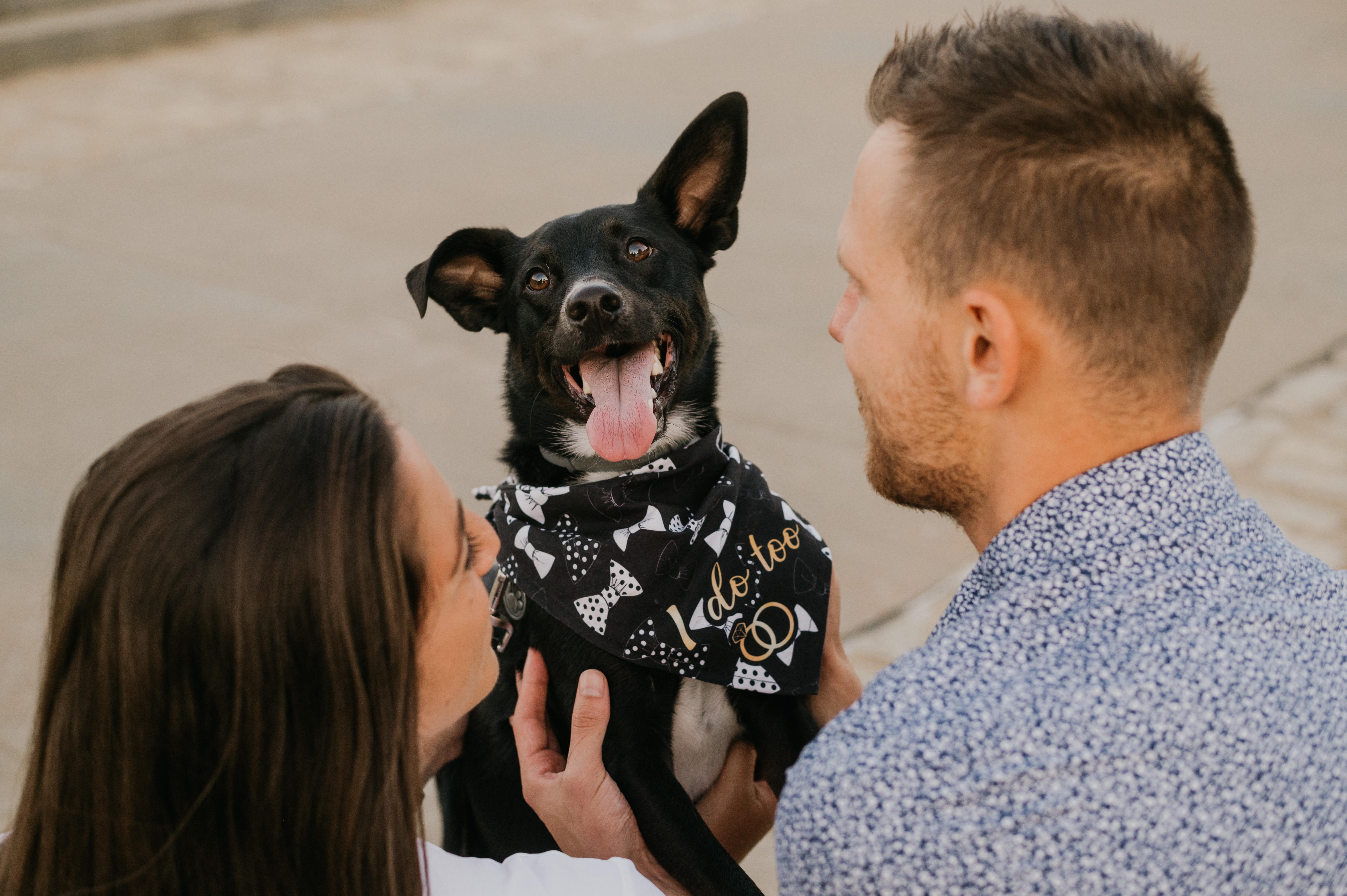 The Wedding Website of Jamie Scott and Benjamin Ridgeway