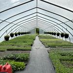 Lockyer's Country Gardens