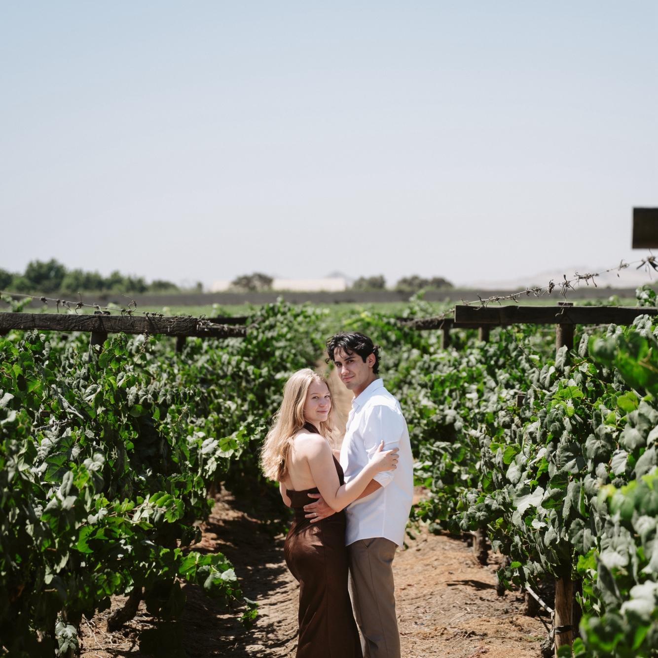 Queirolo Vineyard, Ica, Peru