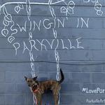 Downtown Parkville