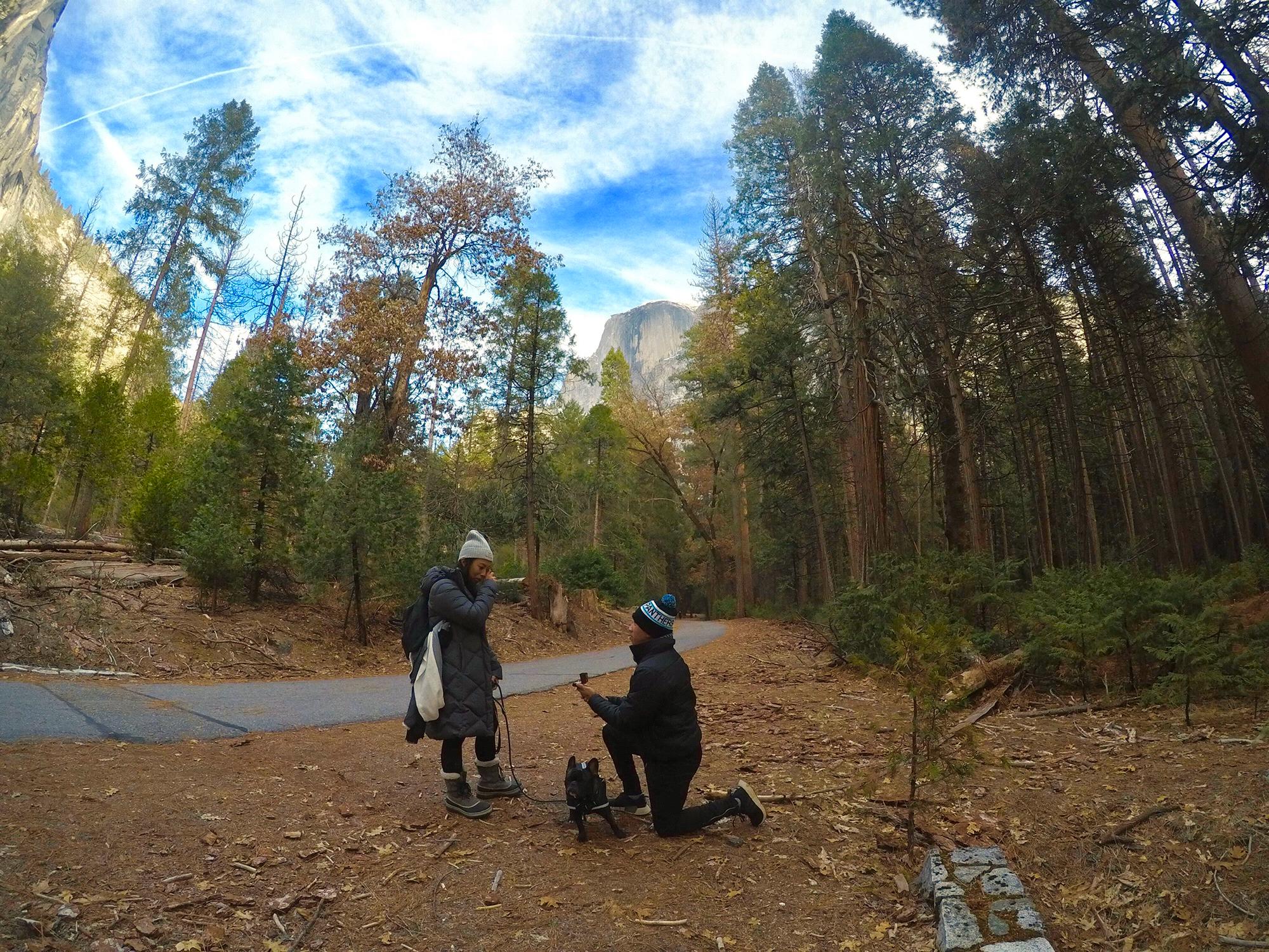 Proposal in Yosemite!