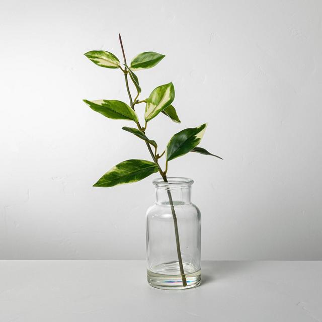 Large Faux Hoya Leaf Arrangement - Hearth & Hand™ with Magnolia