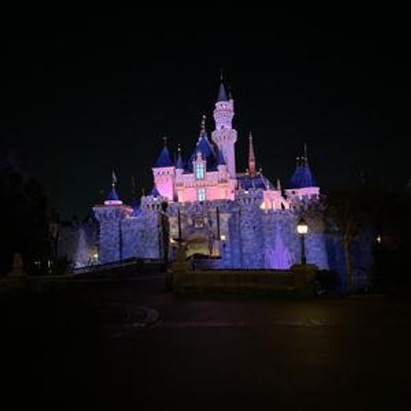 Honeymoon! Disneyland