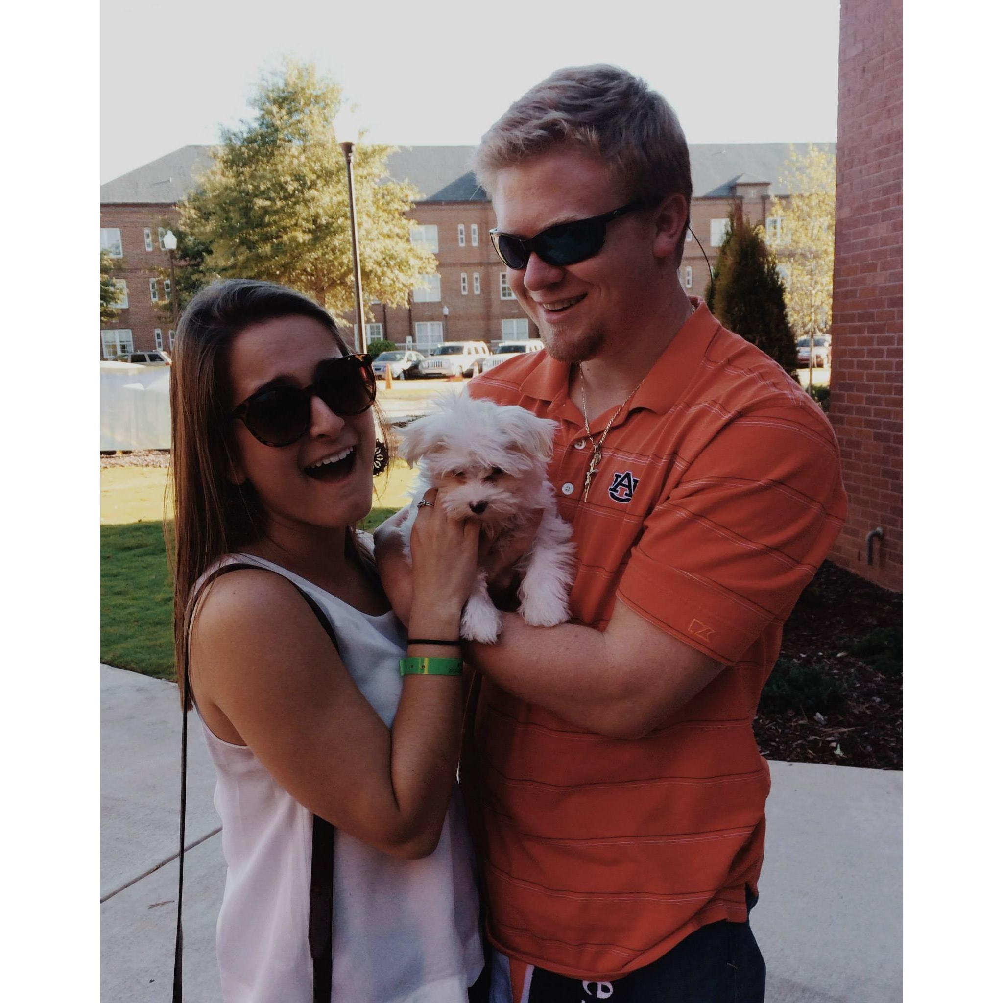 Meeting Michael's family dog, Millie, for the first time! Fall 2014