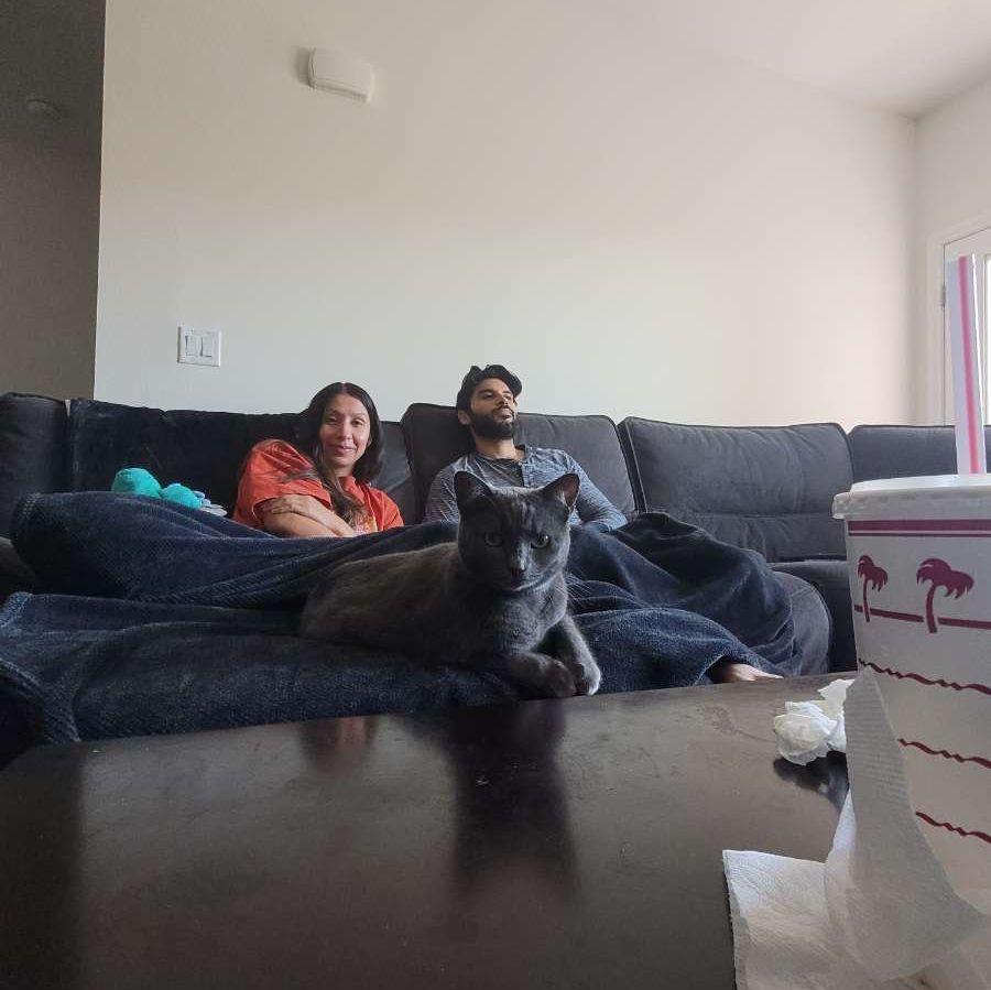 Chill days in our shared apartment with Sol.