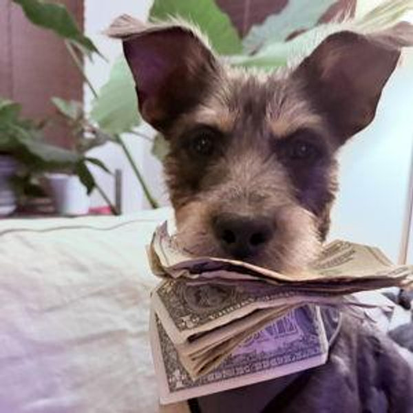 Newlywed fund