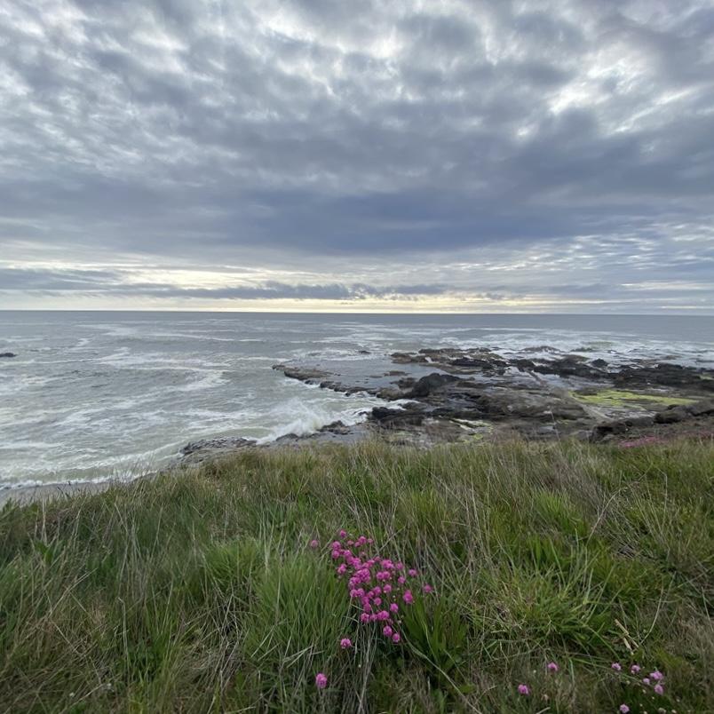 Sunshine, fog, clouds, or rain, the coast is always beautiful.