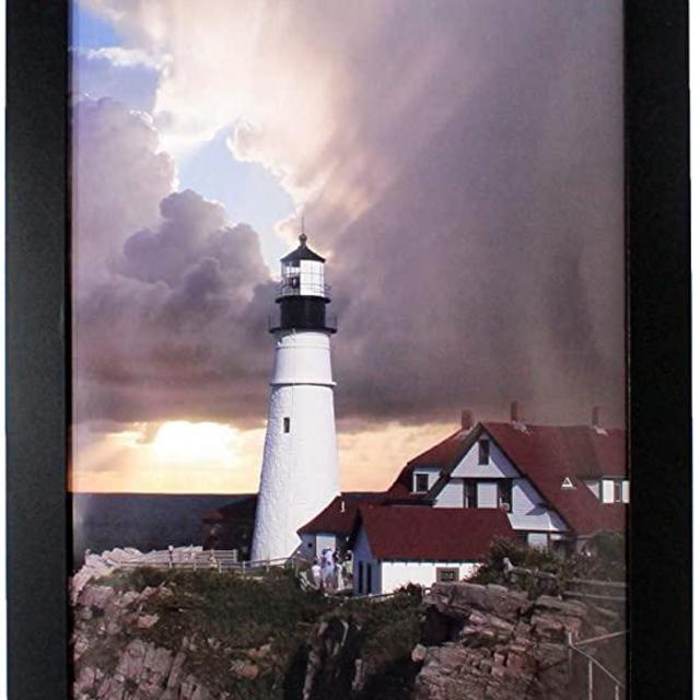 11x22 Black Gallery Picture Frame - Newspaper Media Cover - Includes Attached Hanging Hardware and Plexiglass Front - Display Pictures Assorted Media 11 x 22 Inch Vertically or Horizontally