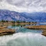 Squamish Estuary