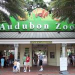 Audubon Zoo