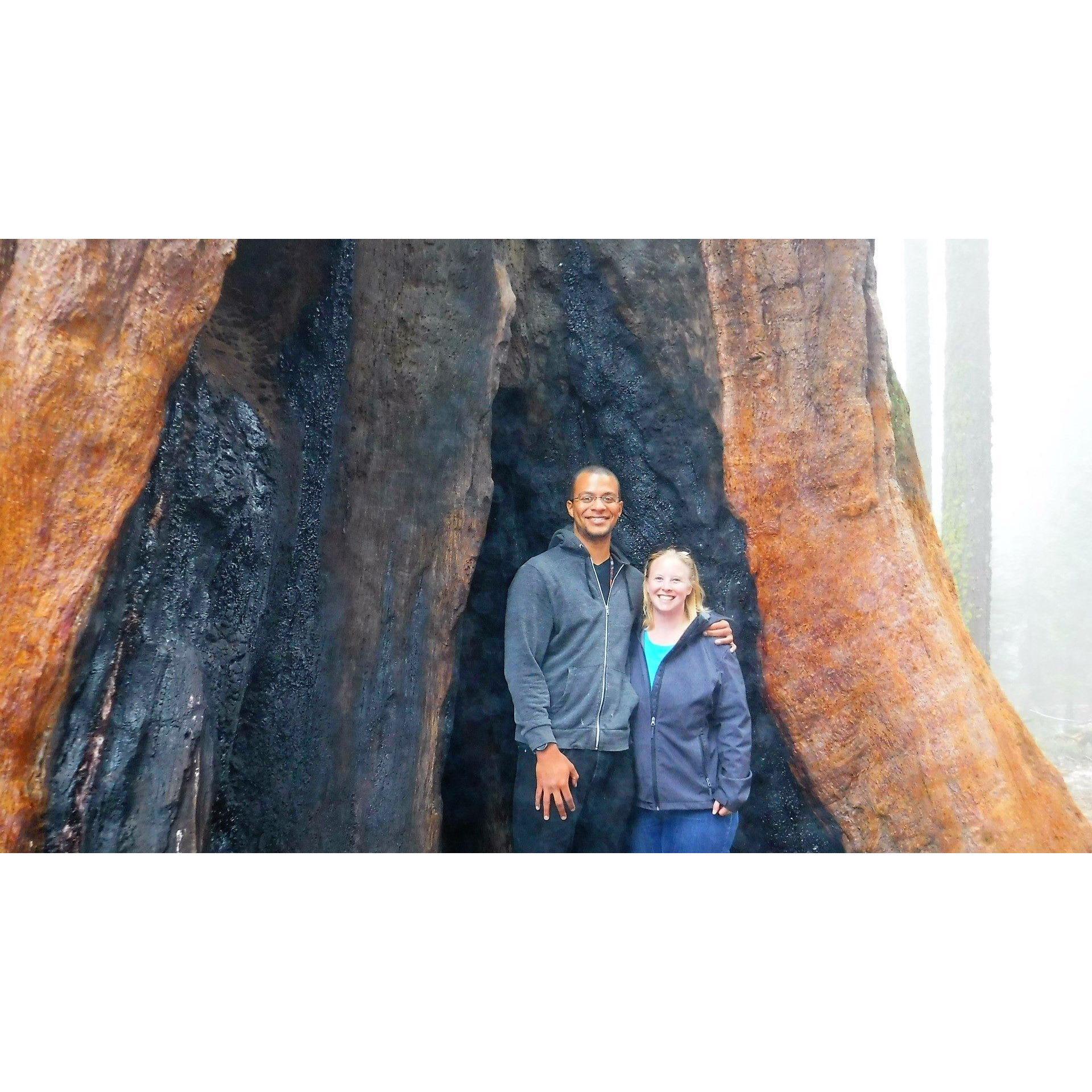 Sequoia National Park