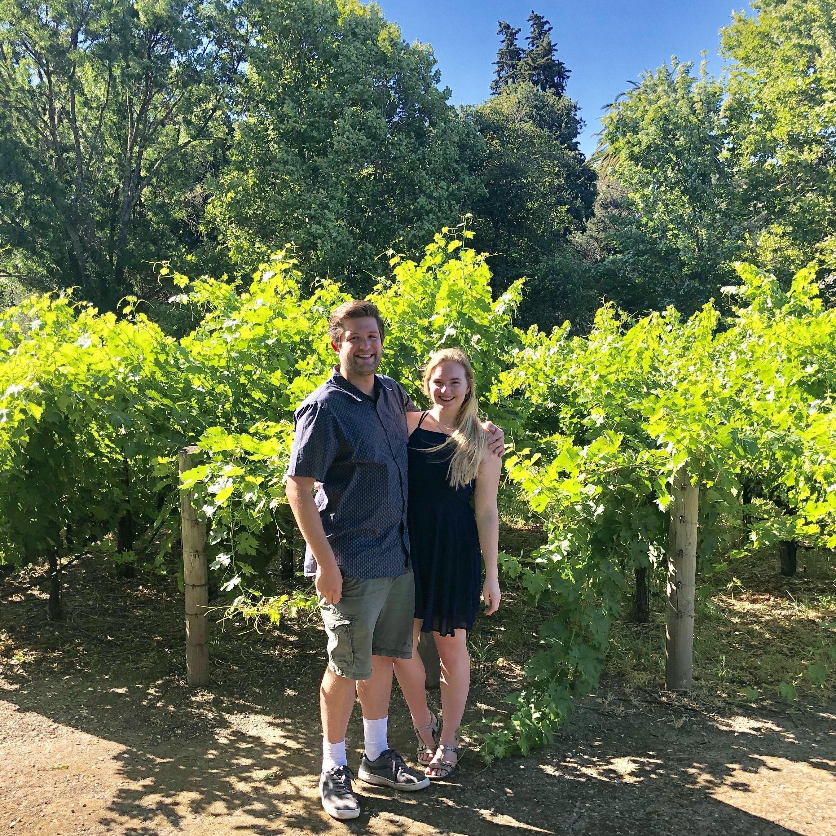 Wine Tasting - Napa, California (2019)