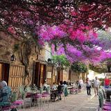 District de Jbeil