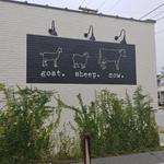 goat. sheep. cow., north