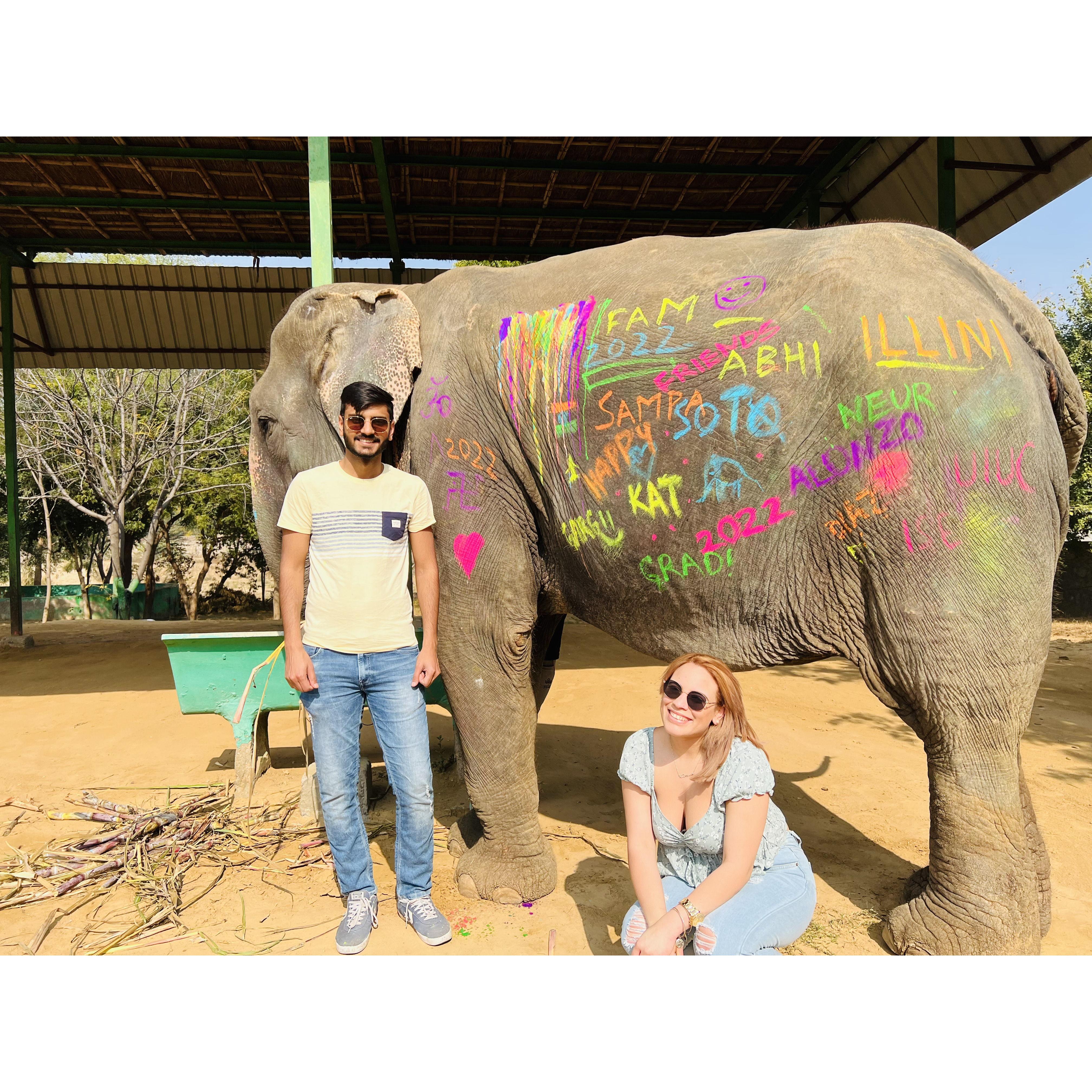 Elephant Sanctuary- Jaipur, India