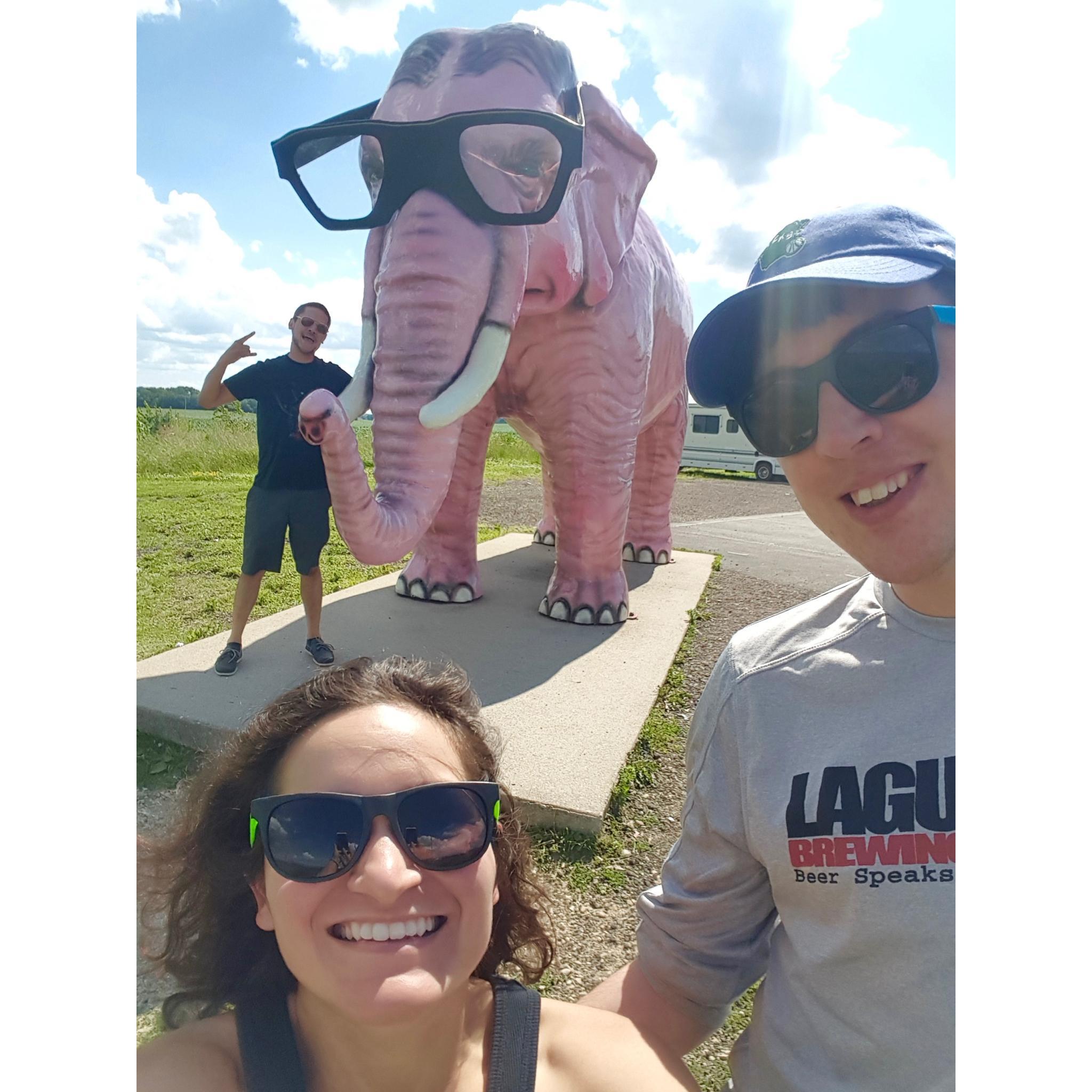 Heading to Devil's Lake for a 50k trail run where Victoria's brother Alfonso succeeded and Victoria sprained her ankle at mile 12.  Long story short, pink elephants with bifocals are pretty cool.
