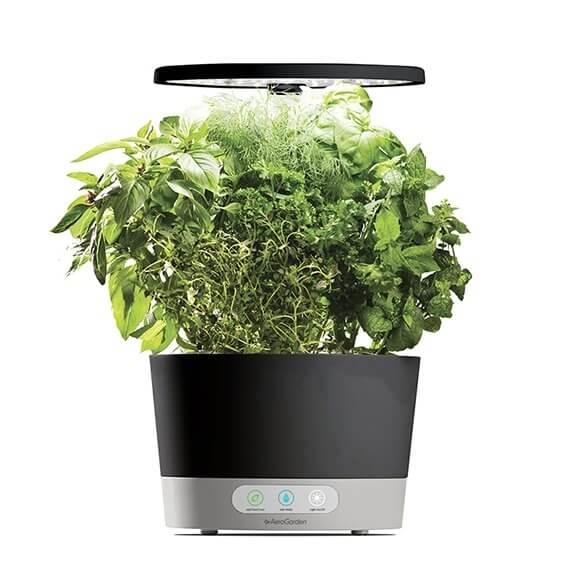 Aero Garden Harvest 360