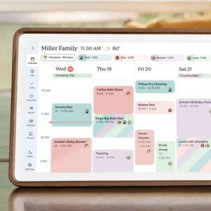 The Skylight Calendar 2 (Wood/Walnut) with Plus Plan | Skylight