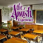 Amish Experience