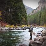 Fishing - Freestone Fly Shop