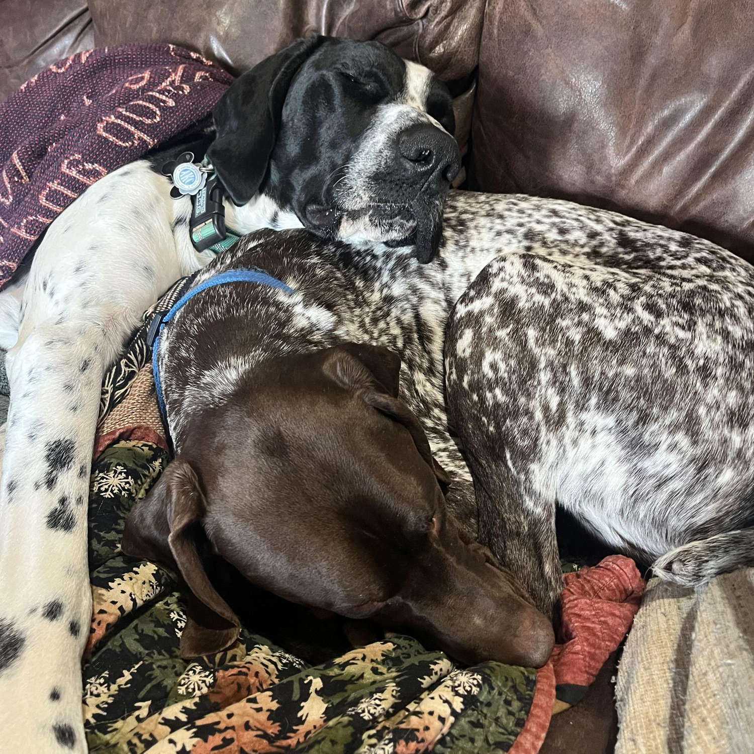 Our boys
