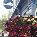 Crested Butte