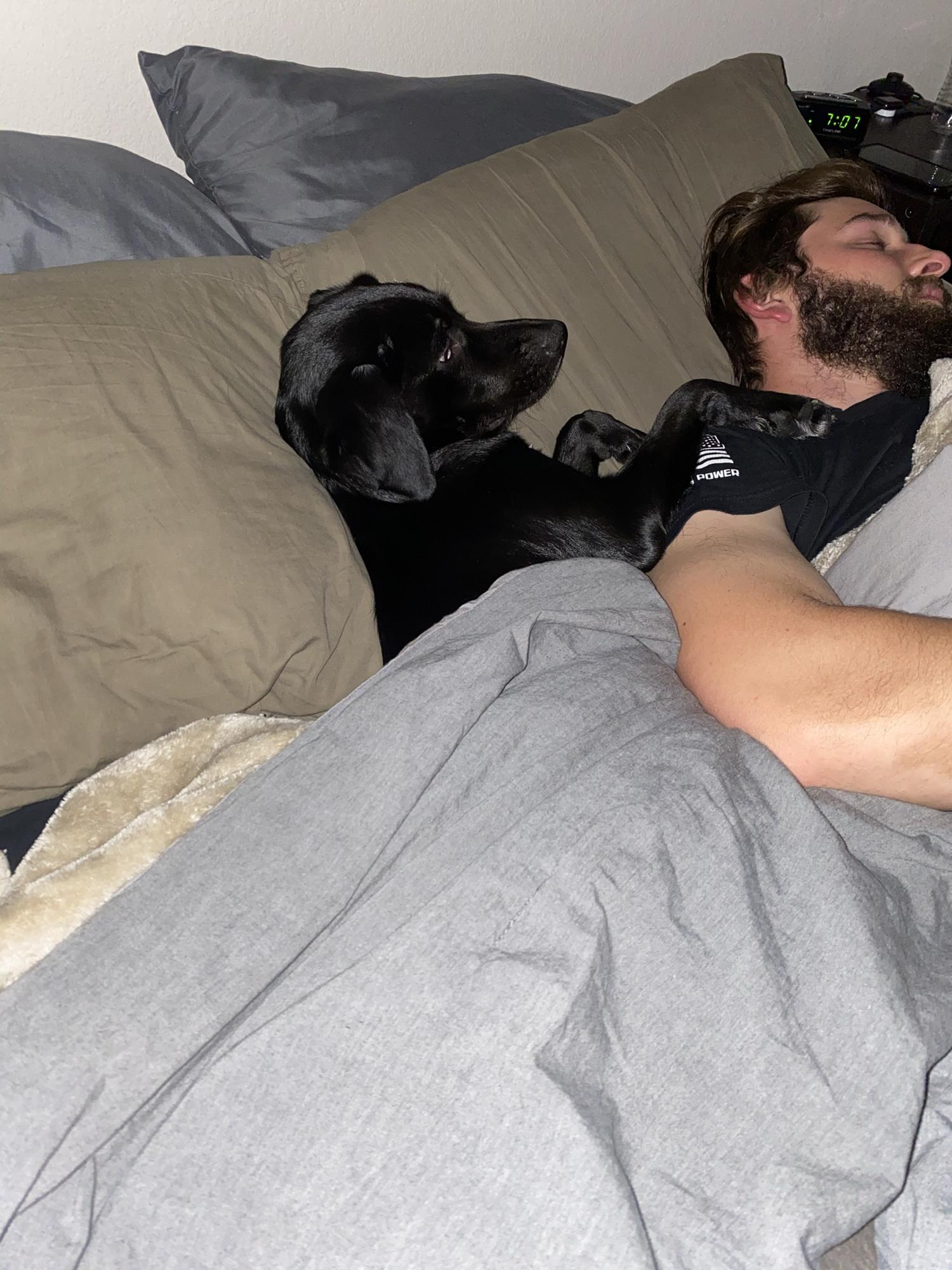 She loves to sleep next to brad. (Even though she’s not allowed to be on the bed)
