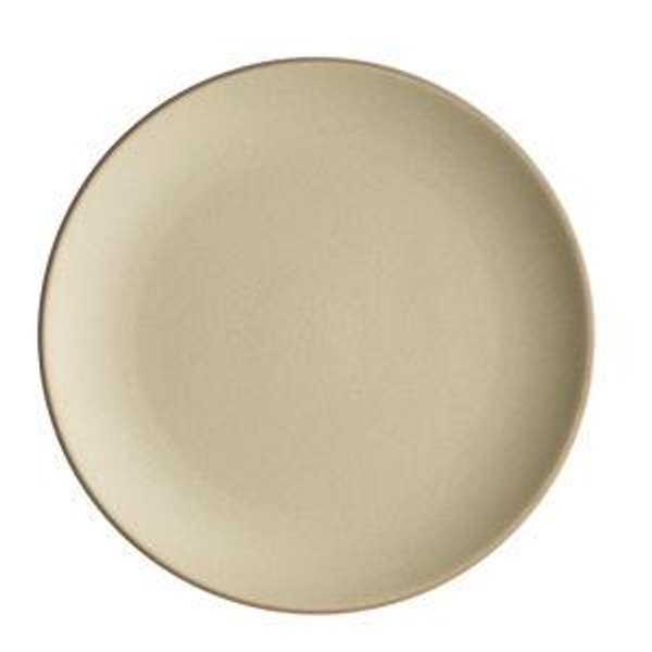 Dinner Plate