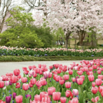 The Dallas Arboretum and Botanical Garden