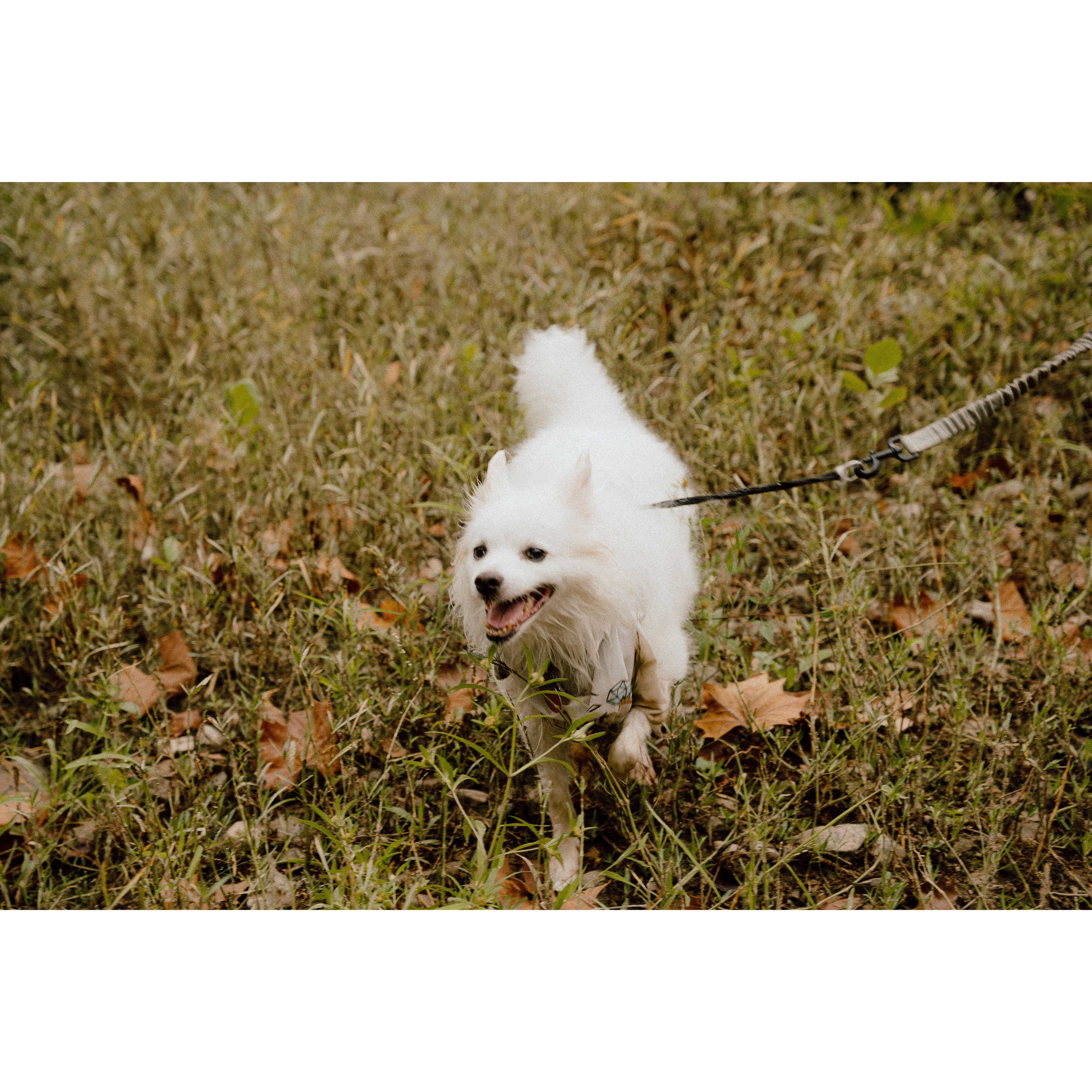 Photo Courtesy of Haley Pettit Photography || Location: Muscatatuck Park North Vernon, IN 47265