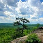 Reeves Brook Trail