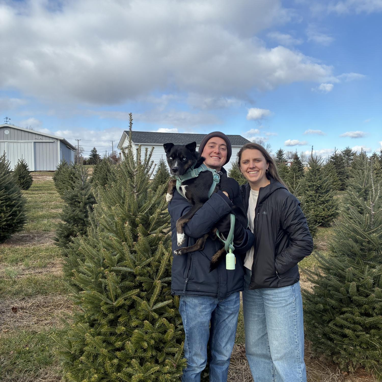 Christmas Tree Farm - November 2025