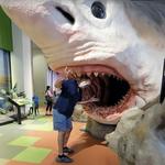 Museum of Discovery and Science