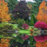 Asticou Azalea Garden