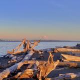 Bainbridge Island Faye Bainbridge Park