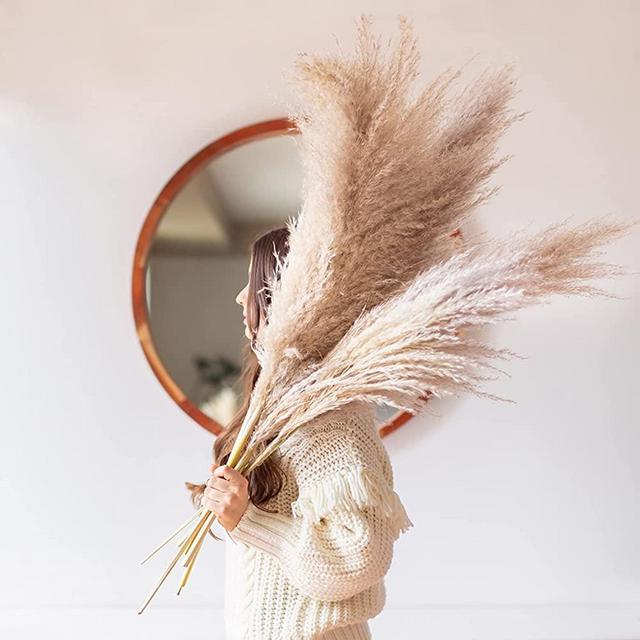 TLB Pampas Grass Decor - Tall Extra Fluffy - Faux Artificial Dried - Home Decor - Wedding - Flower Arrangement - Vase Feather - Beige White Natural - 45-120cm - XL/Large (Beige)