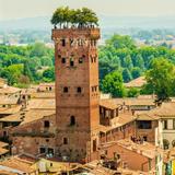 Guinigi Tower