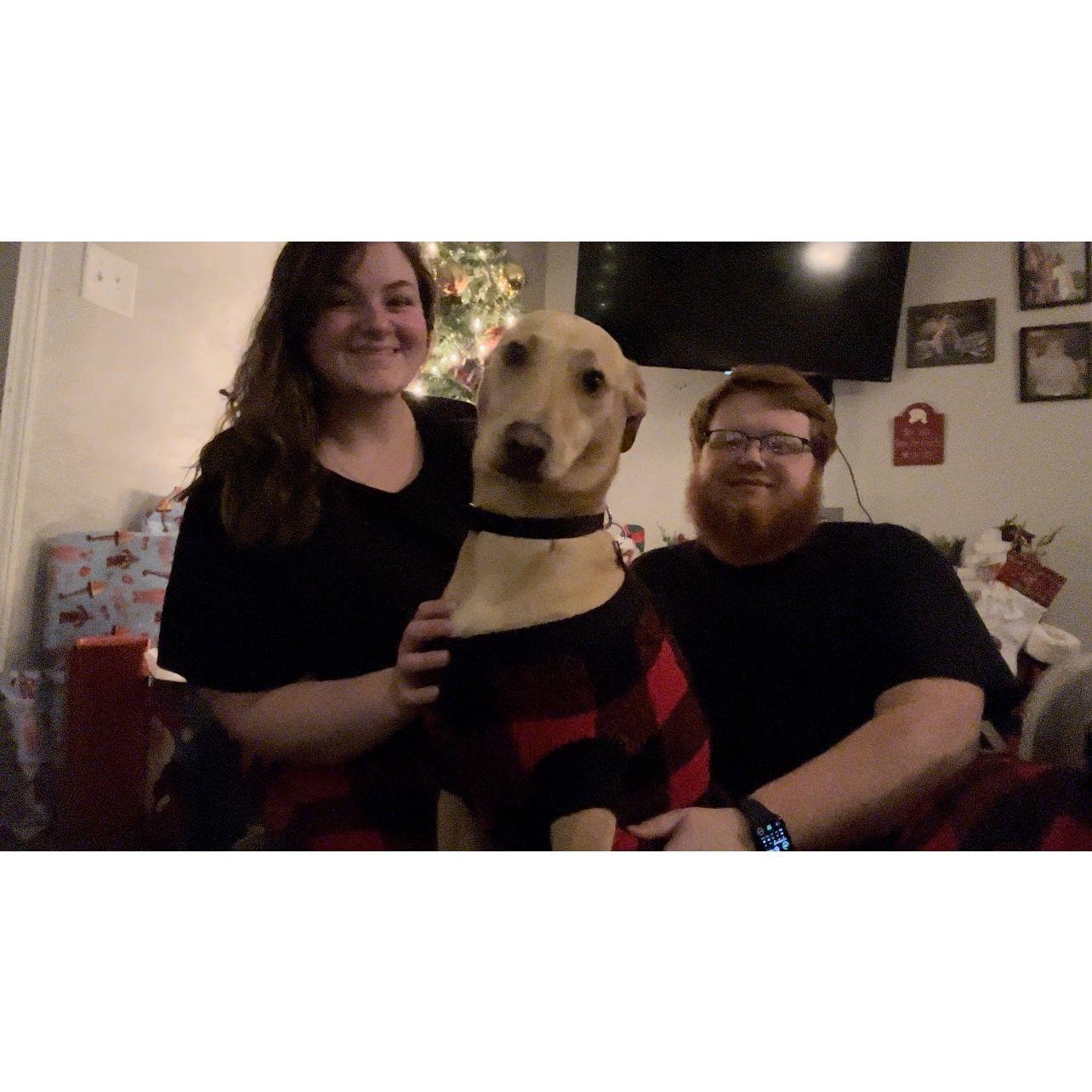 🎄