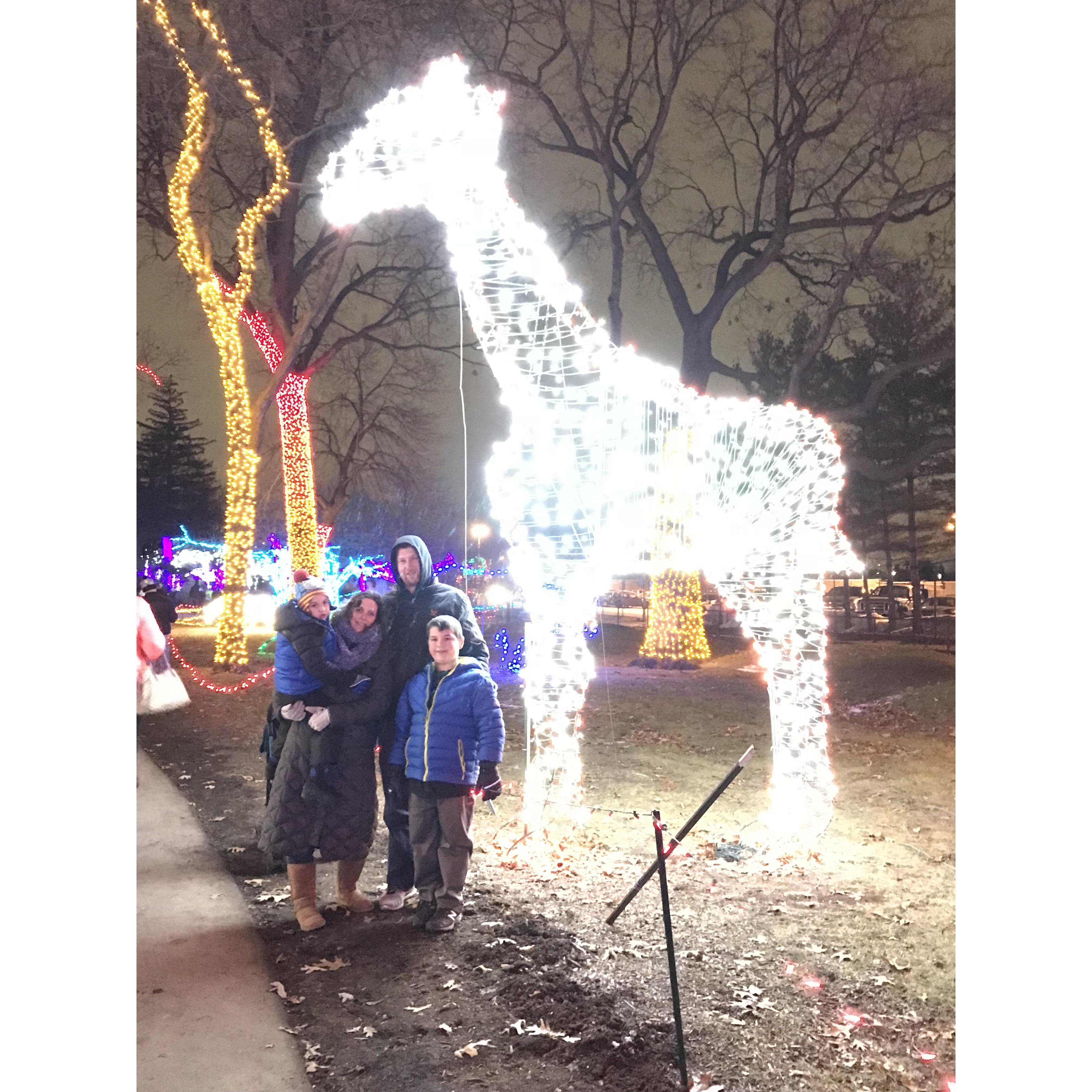 More family fun at the Zoo Lights.