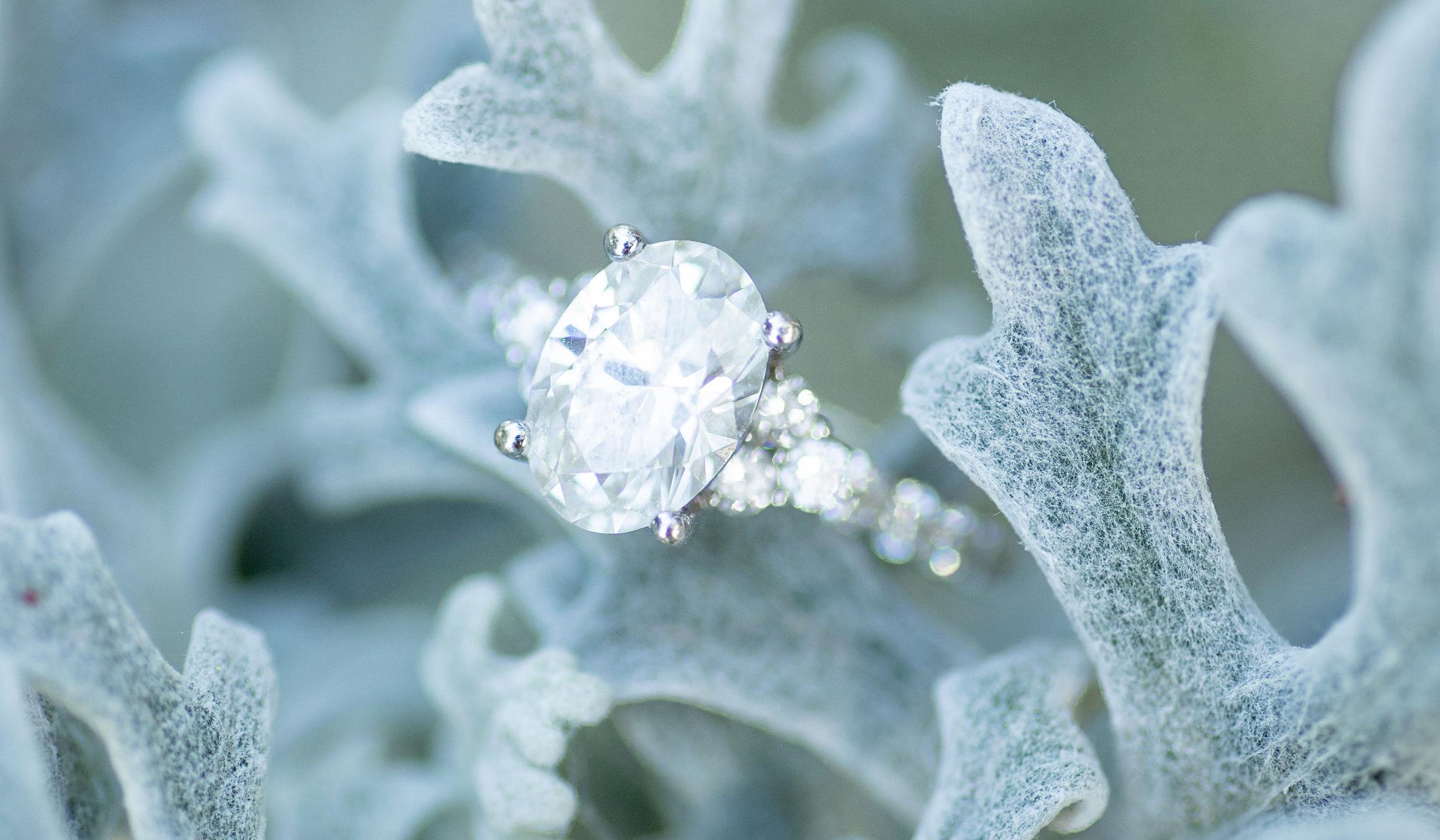 The Wedding Website of Amber Garland and Steven Garland
