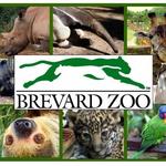 Brevard Zoo