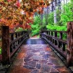 Garvan Woodland Gardens