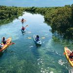 KAYAK TOURS