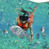 Snorkeling